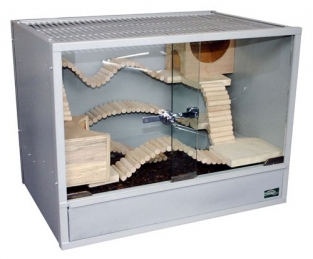 Vivario 60